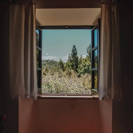 Casa Da Milharica فيغيرو دو فينوس