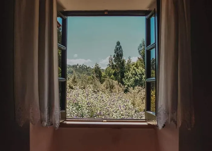 Casa Da Milharica Figueiro Dos Vinhos